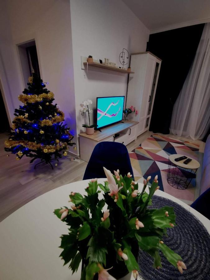 Karra Residence Timisoara - Autorizat Ministerul Turismului Εξωτερικό φωτογραφία